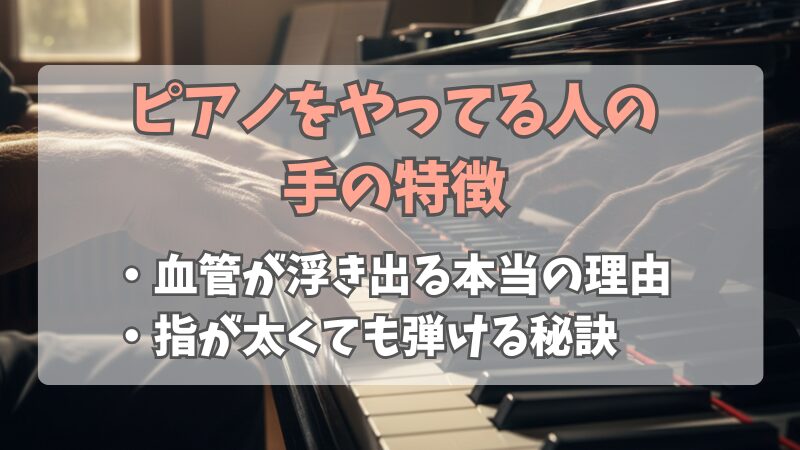 ピアノをやってる人の手の特徴とは？血管や形に隠された秘密を解説 
